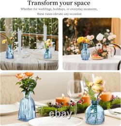 Glass Bud Vases Assorted Small Mini Glass Vases for Flowers, Crystal