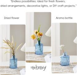 Glass Bud Vases Assorted Small Mini Glass Vases for Flowers, Crystal