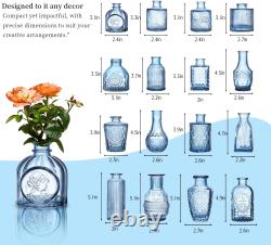 Glass Bud Vases Assorted Small Mini Glass Vases for Flowers, Crystal