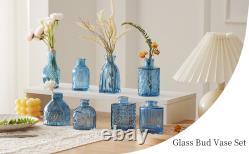 Glass Bud Vases Assorted Small Mini Glass Vases for Flowers, Crystal