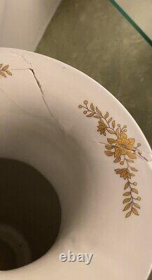 Imperial Limoges Italy Designs Porcelain Set