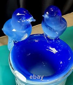 Murano Art Glass Italy Blue Birds Vase Outer Glass Coil Wrap 10 lb Unmarked VTG Murano Art Glass Italy Blue Birds Vase Outer Glass Coil Wrap 10 lb Unmarked VTG