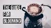 Pour Over Bloom Guide Yes Vincent Actually Blooming