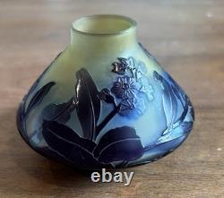 RARE! Gorgeous multi-layered Emile Galle Vase