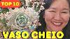 Top 10 Pot Full Of Succulents Sedum Suaveolens Shangrila Equador Etc