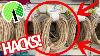 Why Everyone Is Grabbing Cheap Rope From The Dollar Tree Genius